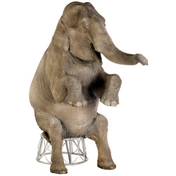ELEPHANT Lifesize Cardboard Cutout Standup Standee - Front