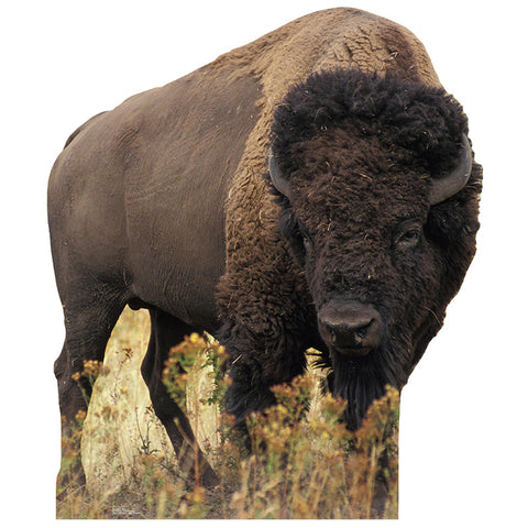 BISON Cardboard Cutout Standup Standee - Front