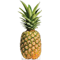 PINEAPPLE Cardboard Cutout Standup Standee - Front