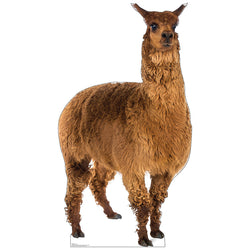 LLAMA Lifesize Cardboard Cutout Standup Standee - Front