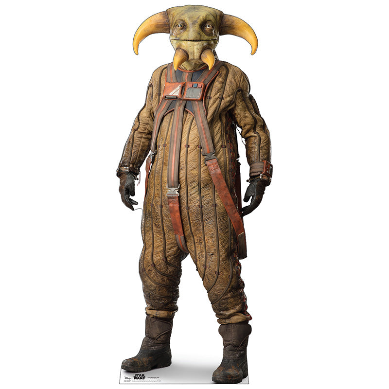 BOOLIO "Star Wars: The Rise of Skywalker" Lifesize Cardboard Cutout Standup Standee - Front