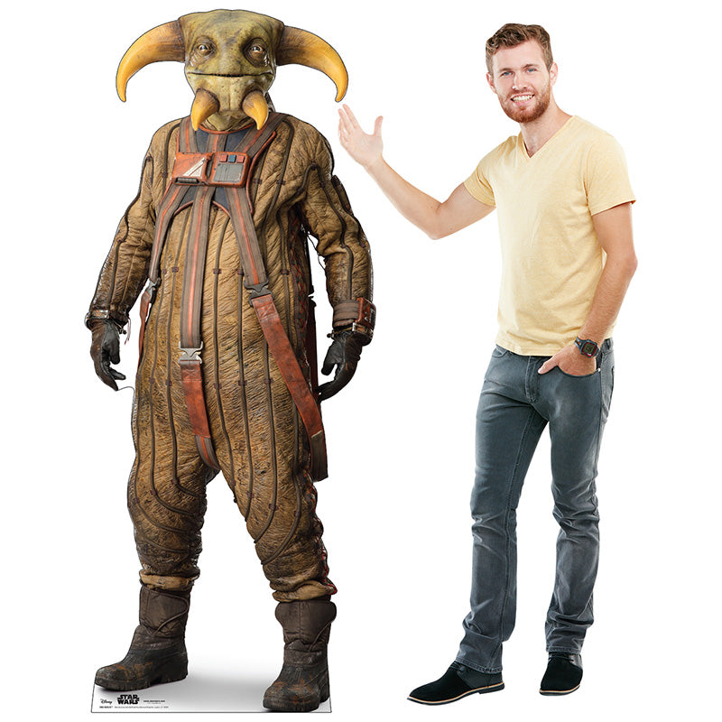 BOOLIO "Star Wars: The Rise of Skywalker" Lifesize Cardboard Cutout Standup Standee - Example