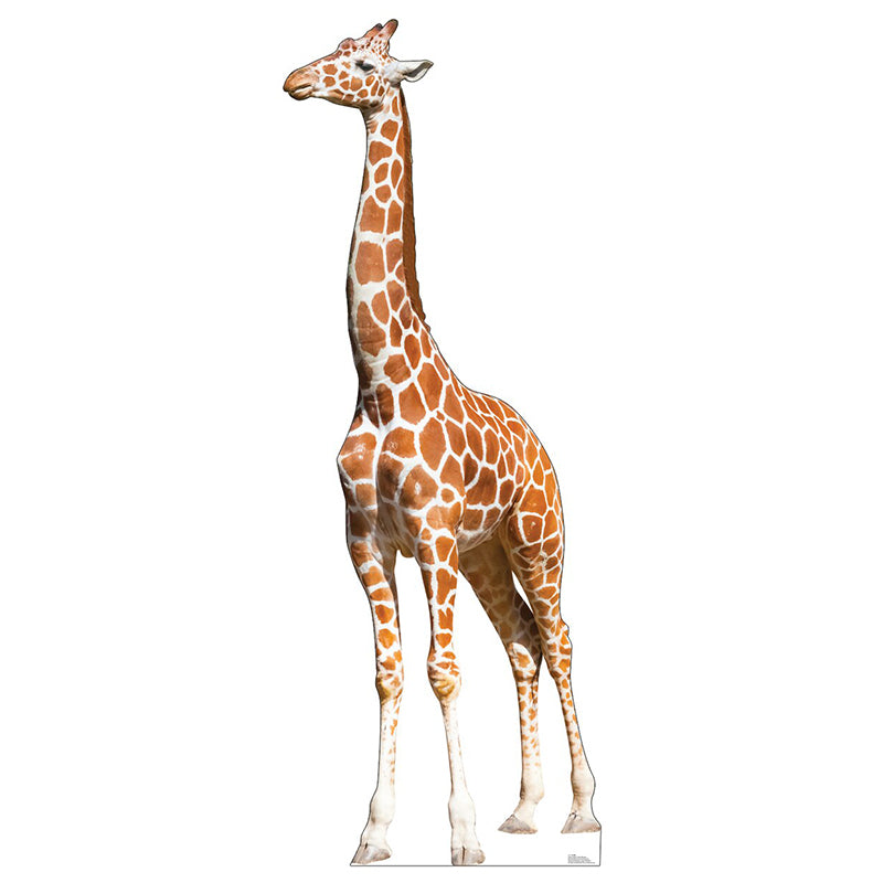 GIRAFFE Cardboard Cutout Standup Standee – StandingStills.com