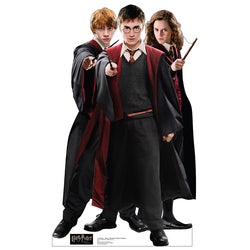 HARRY, HERMIONE AND RON 